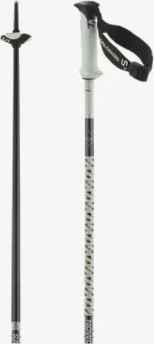 Salomon Polar Pro S3 Alpin Skistock white moss (Modell 2024/2025)