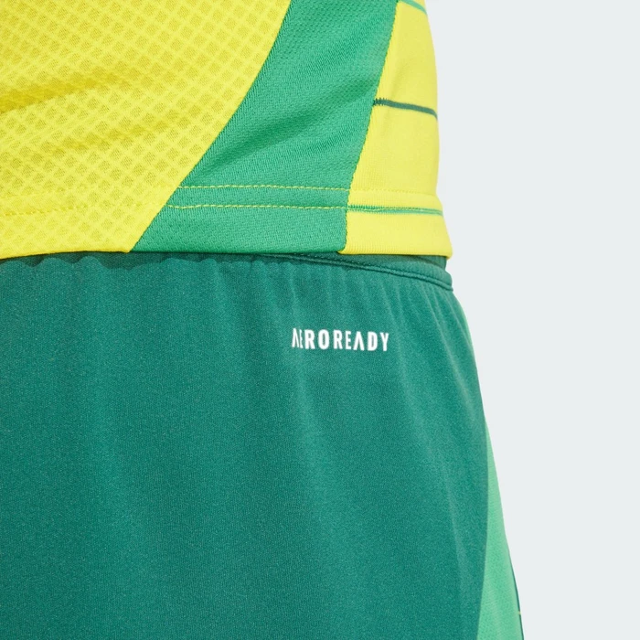adidas Celtic FC 2024/2025 Auswärtsshorts team dark green (Herren)