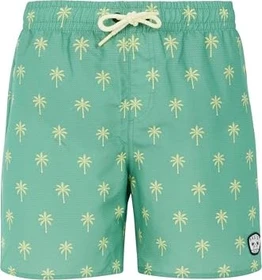 Protest Fonz Badeshorts frosty green (Junior)