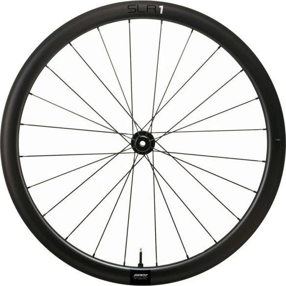 Giant SLR 1 Carbon 24H 42mm/19.4mm 29" Centerlock Disc Vorderlaufrad