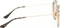 Ray-Ban Round Double Bridge gold/green classic Vorschaubild