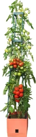 Bio Green Maxitom Tomaten Pflanztopf mit Rankhilfe 25x25cm