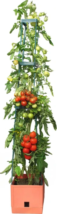 Bio Green Maxitom Tomaten Pflanztopf mit Rankhilfe 25x25cm