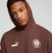 Puma FC St. Pauli ftblCULTURE+ Hoodie espresso brown/sugared almond (Herren) Vorschaubild