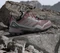 adidas Terrex Skychaser GTX burgundy/preloved fig/grey two (Damen) Vorschaubild
