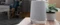 Netgear Orbi Voice RBK50V, Router und Repeater/Lautsprecher Set, 2er-Bundle Vorschaubild
