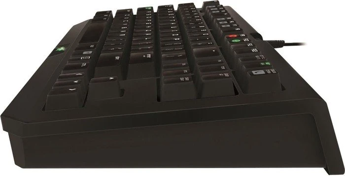 Razer BlackWidow Stealth 2013, Kailh BROWN, USB, US