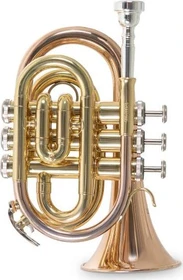 Roy Benson Bb-Taschentrompete PT-101G