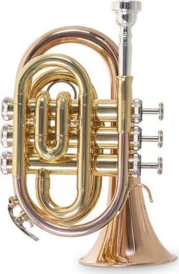 Roy Benson Bb-Taschentrompete PT-101G