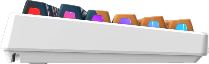 MSI FORGE GK600 TKL Wireless Mars, LEDs RGB, hot-swap, KKT Purple Star, USB/Bluetooth, US