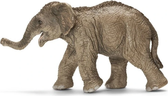 Schleich Wild Life - Asiatisches Elefantenbaby 2017