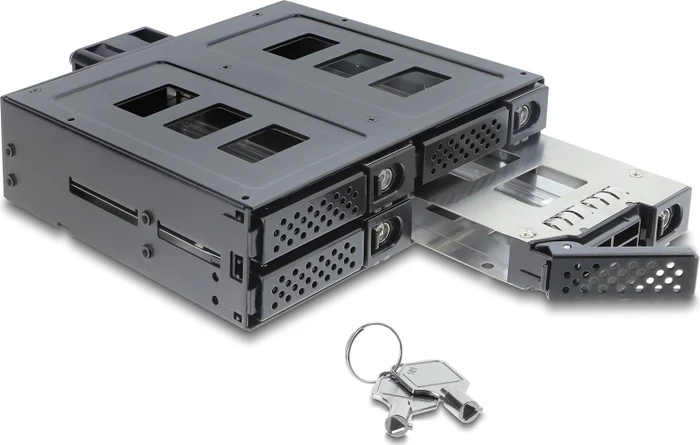 DeLOCK 5.25" Wechselrahmen, 4x 2.5" SATA/SAS