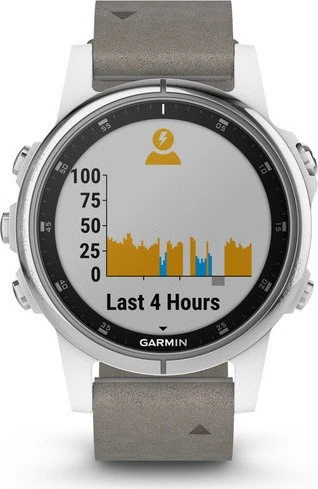 Garmin Fenix 5S Plus Sapphire grau