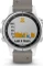 Garmin Fenix 5S Plus Sapphire grau Vorschaubild