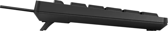 HP 125 G2 kabelgebundene Tastatur, schwarz, mit Copilot-Taste, USB, RO
