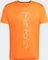 adidas Terrex Agravic Trail Laufshirt kurzarm semi impact orange/white (Herren) Vorschaubild