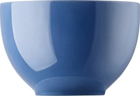 Thomas Sunny Day Colours Müslischale 12cm 450ml nordic blue