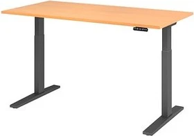 Hammerbacher Ergonomic Aktiv XMKA16 elektrisch höhenverstellbarer Sitz-Steh-Schreibtisch 160x80cm Buche/grau