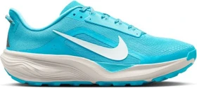 Nike ACG Pegasus Trail baltic blue/light orewood brown/ironstone/summit white (Herren)
