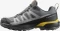 Salomon X Ultra 360 GTX castlerock/black/spicy mustard (Herren) Vorschaubild