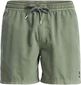 Quiksilver Everyday Surfwash 15" Badeshorts grape leaf (Herren)