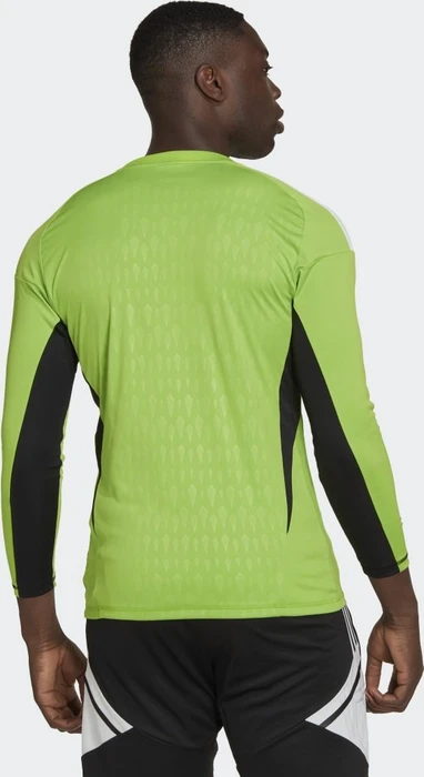 adidas Tiro 23 Competition Long Sleeve Torwart Trikot kurzarm team semi sol green2 (Herren)