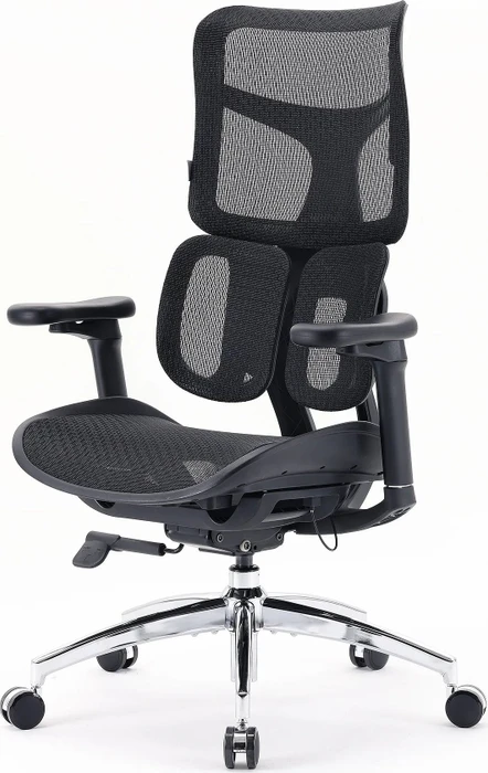 Sihoo Doro S100 Ergonomischer Bürostuhl, schwarz