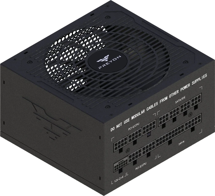 Preyon Eagle Power Gold schwarz 1000W, ATX 3.1