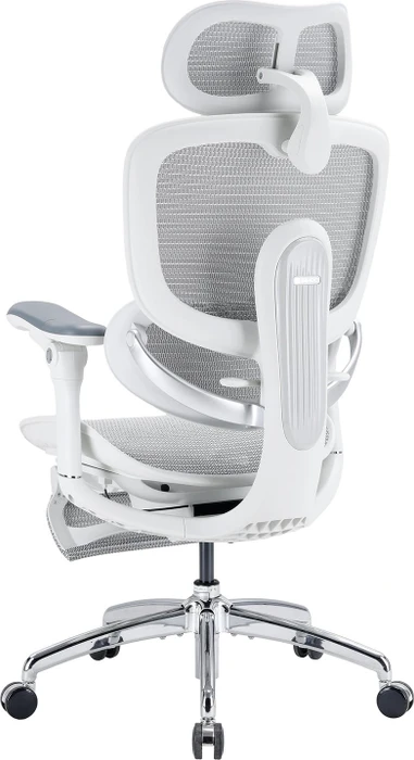 Sihoo Doro C300 Pro V2 adaptiver ergonomischer Bürostuhl, mit Fußstütze, weiß