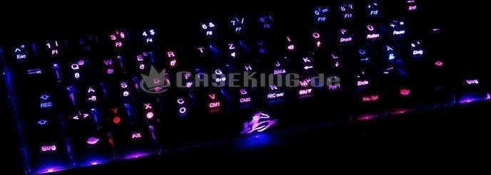 Ducky Mini Year of the Horse Limited Edition, LEDs rot/blau, MX BROWN, USB, DE
