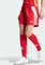 adidas Tiro 24 Shorts team power red 2/white (Damen) Vorschaubild