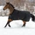 Kerbl Bucas Irish Turnout High Neck/50, Regendecke female, 1.40m, 50g, black/gold (65540-22)