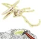 Clementoni Galileo Ausgrabungs-Set Pteranodon Vorschaubild