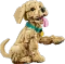 LEGO Icons - Golden Retriever Welpe Vorschaubild