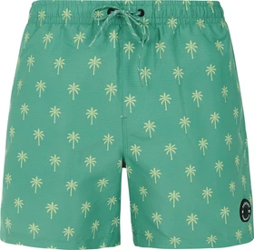 Protest Alvis Badeshorts frosty green (Herren)