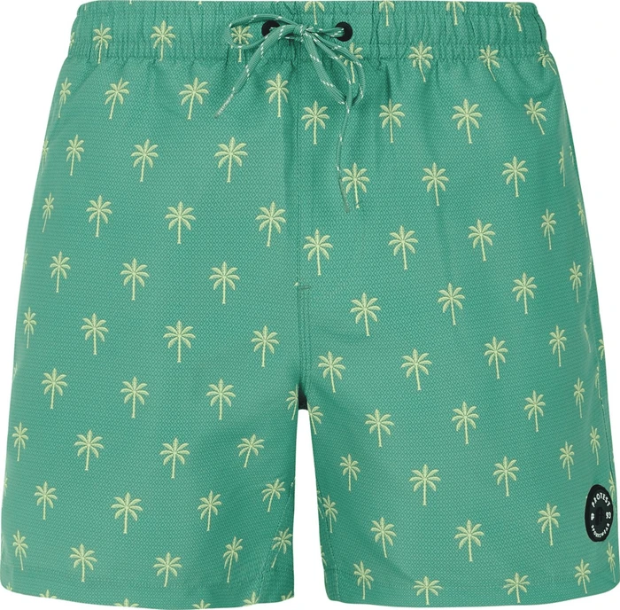 Protest Alvis Badeshorts (Herren)