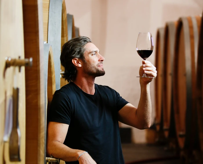 Riedel Vinum Shiraz/Syrahglas, 2 Stück