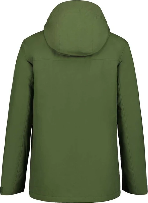 Icepeak Alston Funktionsjacke grün (Herren)