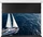 Celexon celexon GREYVISION Premium Plus Leinwand Motor Tension 298 x 168 cm - 135" (1000037024)