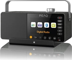 PEAQ PTS 100 Paul