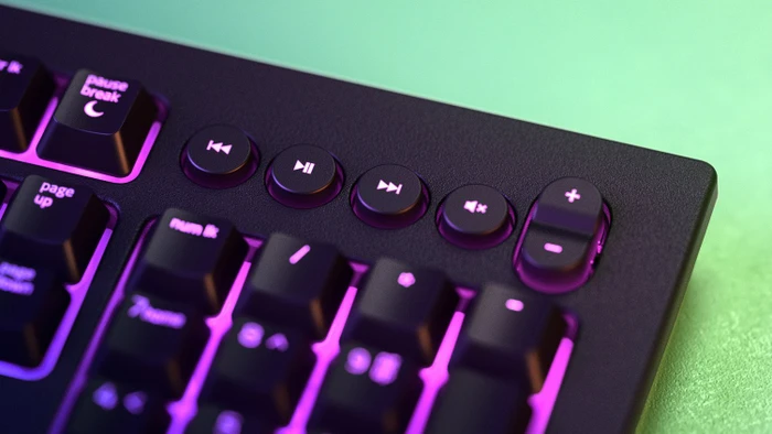 Razer Cynosa V2, USB, IT