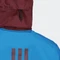adidas Terrex Gore-Tex Paclite Funktionsjacke shock blue/burgundy (Herren) Vorschaubild