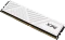 ADATA XPG Gammix D35 White Edition UDIMM 8GB, DDR4-3200, CL16-20-20 Vorschaubild