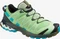 Salomon XA Pro 3D V8 (Damen) Vorschaubild