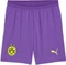 Puma BVB Borussia Dortmund 2026/2027 Heimshorts purple glimmer/yellow alert (Herren) Vorschaubild
