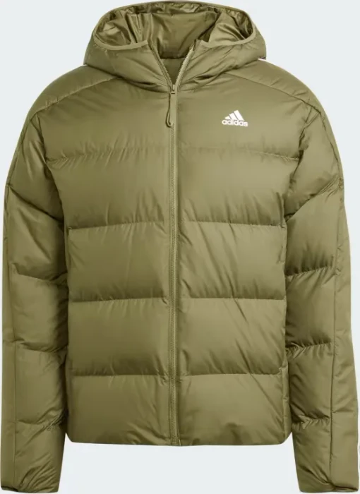 adidas Essentials Midweight Hooded Jacke olive strata (Herren)