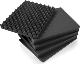 B&W International Schaumstoffeinsatz für PP.221 / Typ 5000 Case