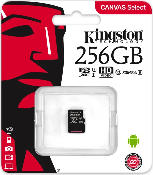 Kingston Canvas Select R80 256GB, UHS-I U1, Class 10