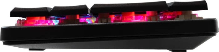 White Shark NAGAMAKI, schwarz, LEDs RGB, low-profile RED Switches, USB, US