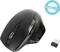 Targus Antimicrobial Ergo Wireless Mouse schwarz, USB Vorschaubild